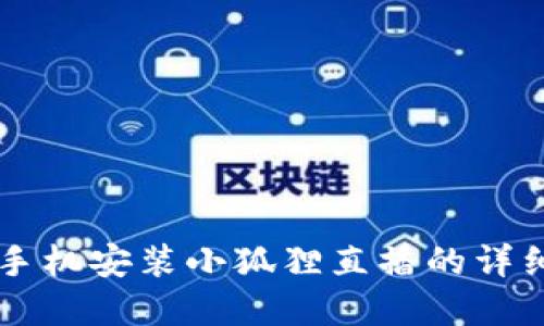 苹果手机安装小狐狸直播的详细指南